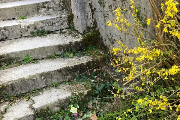 Escalier extérieur du gîte Maison Stendhal aux Échelles en Savoie avec végétation et fleurs